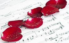 青峰(fēng)之歌-付士奇