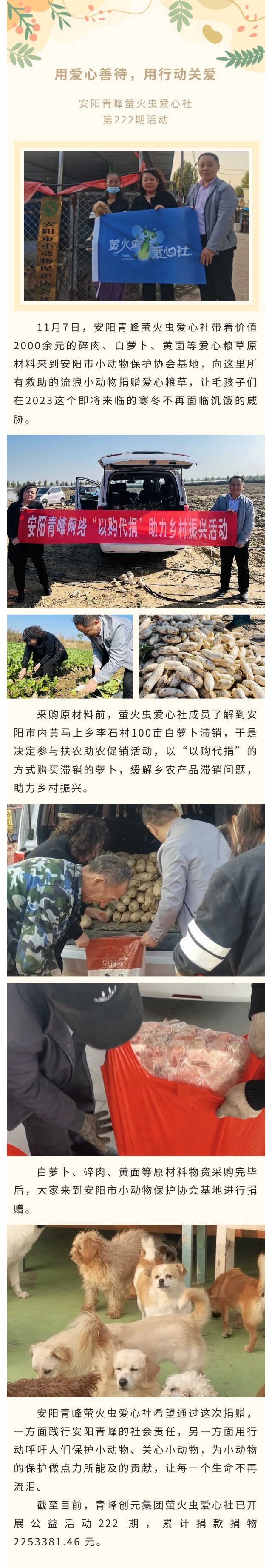 用爱心善(shàn)待,用步履关爱--青峰(fēng)创元团体萤火虫爱心勾当(dāng)第222期报(bào)道